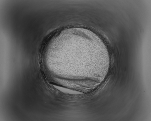 X0000086741494200705111624