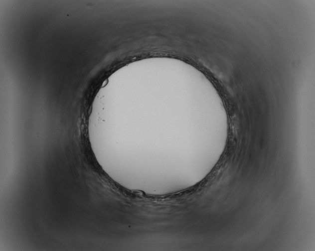 X0000086741495200705111624