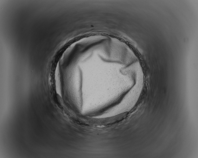 X0000086741496200705111624