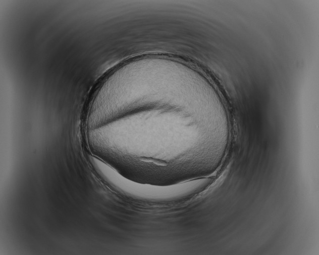 X0000086741497200705111624