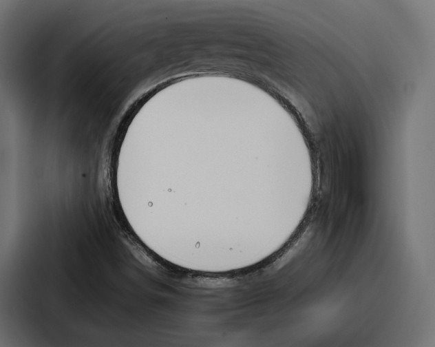 X0000086741498200705111624