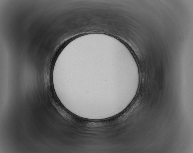 X0000086741499200705111624