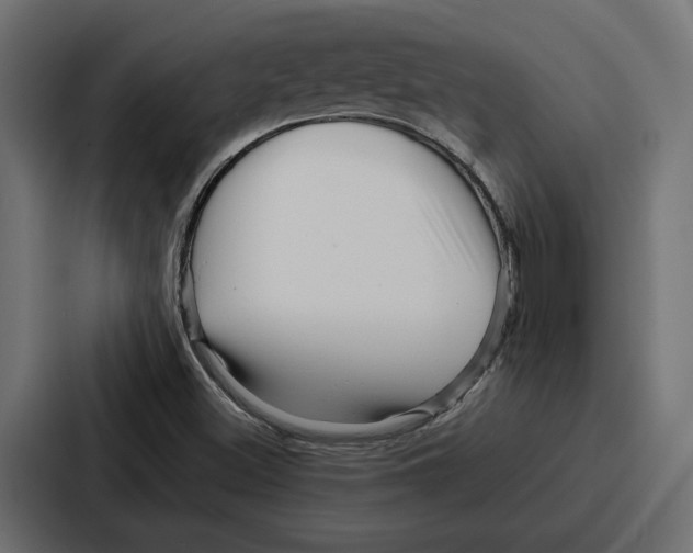 X0000086741500200705111624