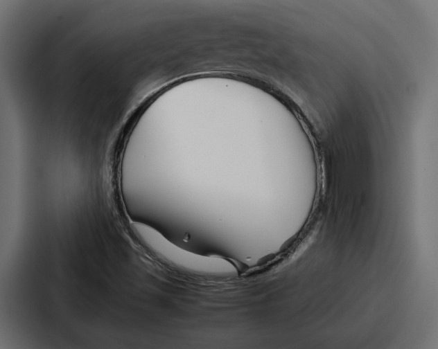 X0000086741501200705111624