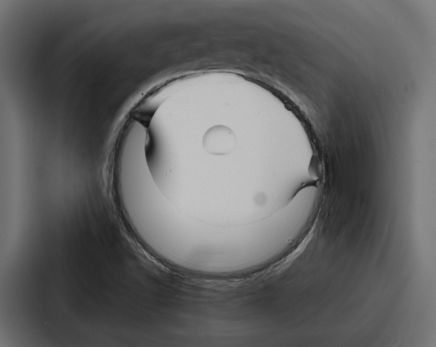 X0000086741502200705111624