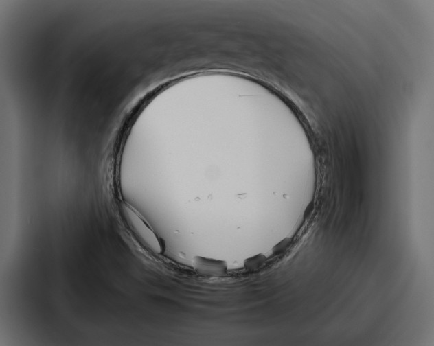 X0000086741503200705111624