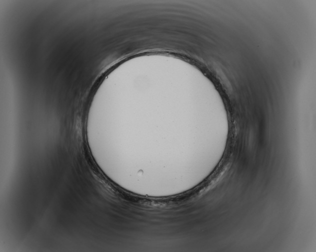 X0000086741505200705111624