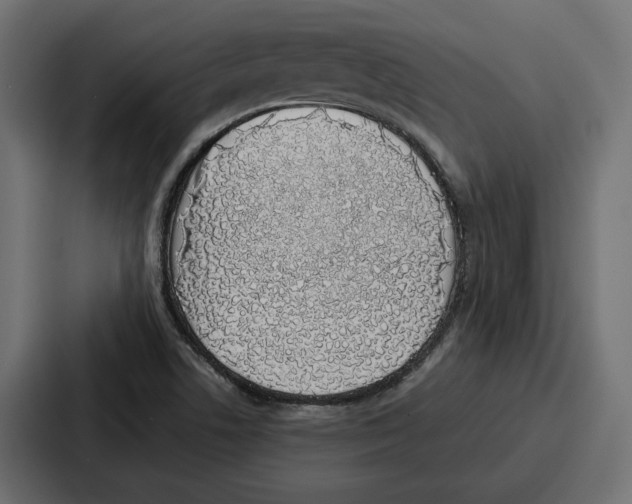 X0000086741506200705111624