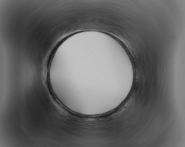 X0000086741507200705111624