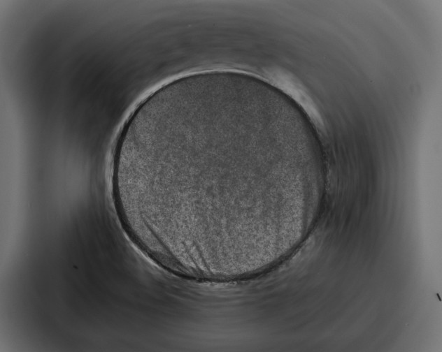 X0000086741508200705111624