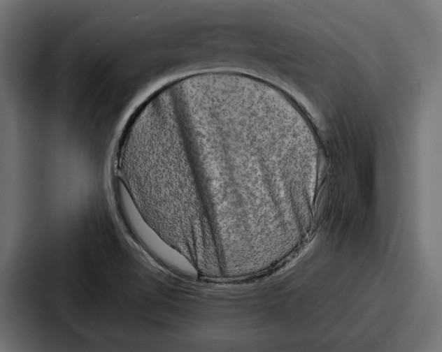 X0000086741510200705111624