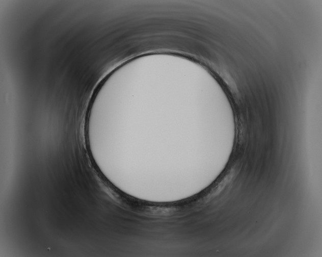 X0000086741513200705111624