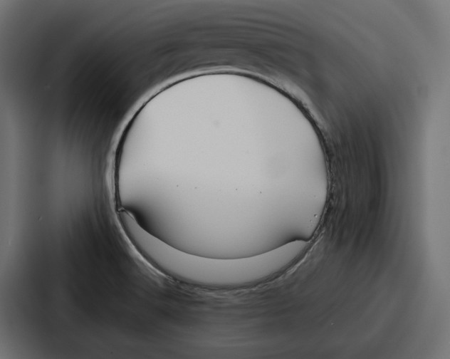 X0000086741516200705111625