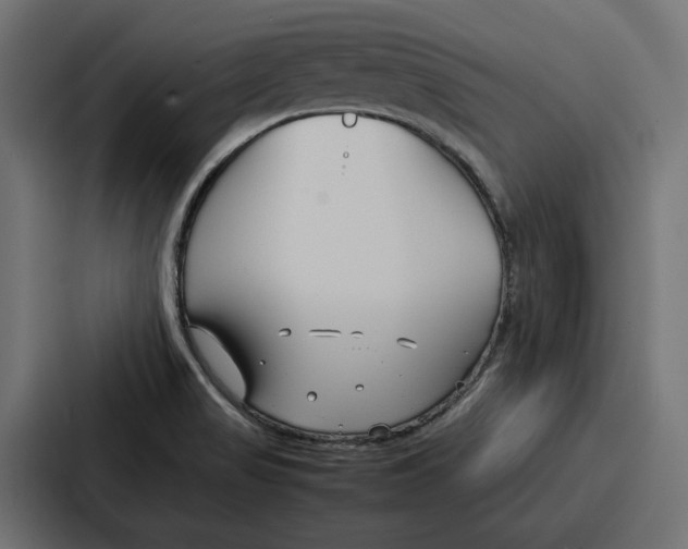 X0000086741517200705111625