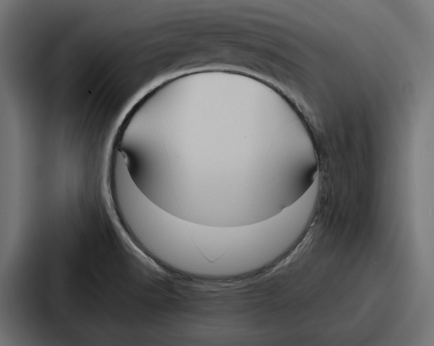 X0000086741518200705111625