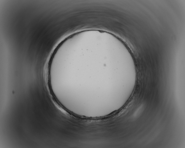 X0000086741519200705111625