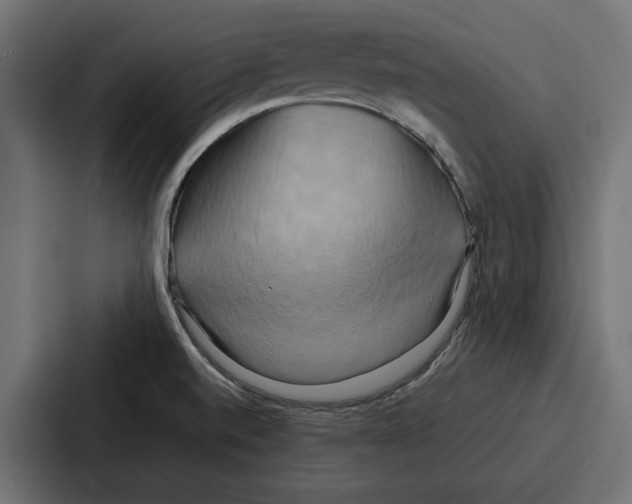 X0000086741520200705111625