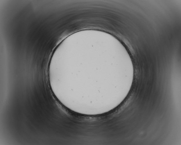 X0000086741521200705111625