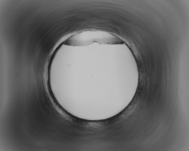 X0000086741523200705111625