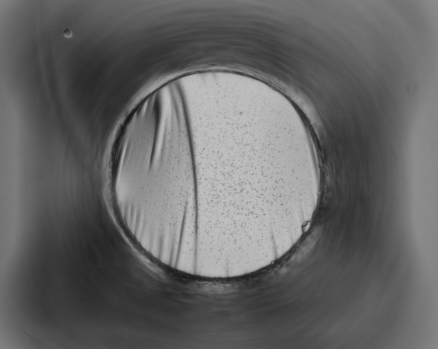 X0000086741525200705111625