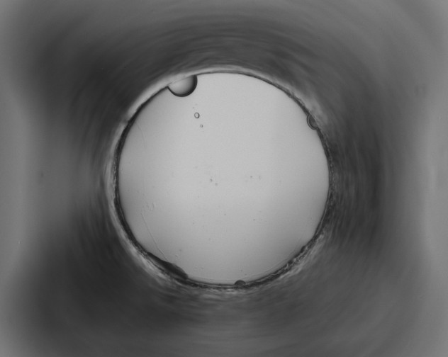 X0000086741526200705111625