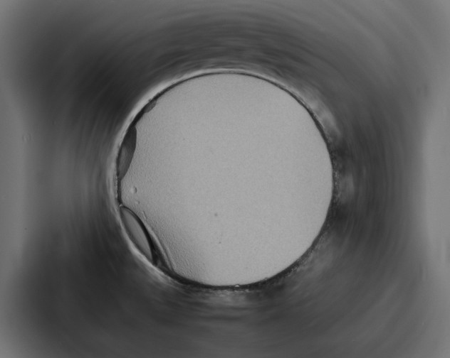 X0000086741527200705111625