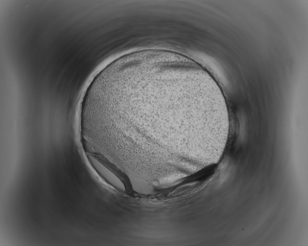 X0000086741528200705111625