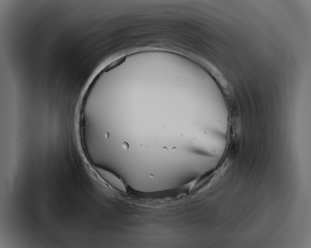 X0000086741530200705111625