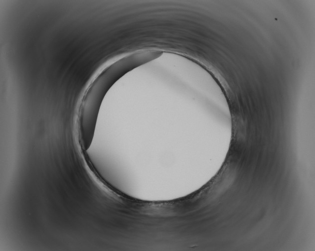 X0000086741531200705111625