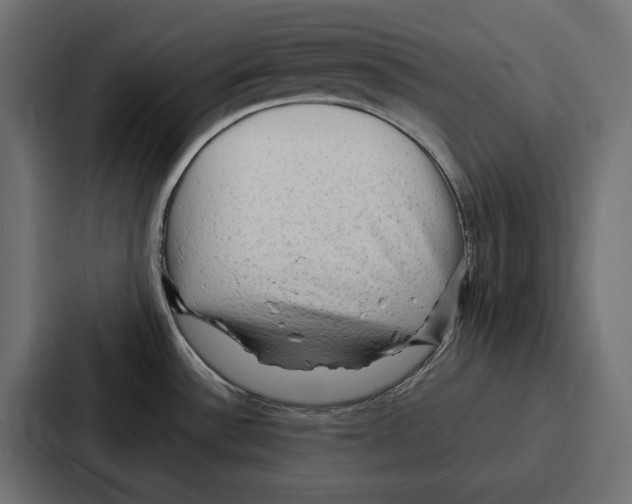 X0000086741532200705111625