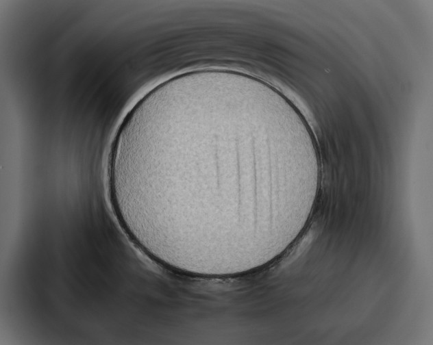 X0000086741533200705111625