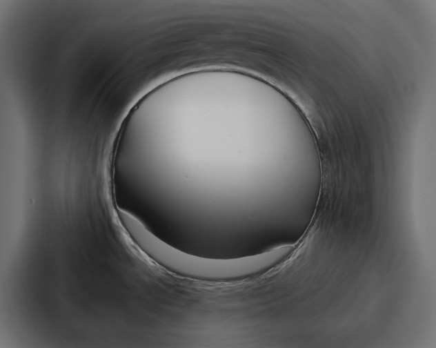 X0000086741534200705111625