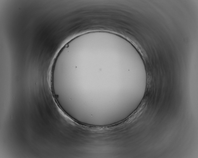 X0000086741535200705111625