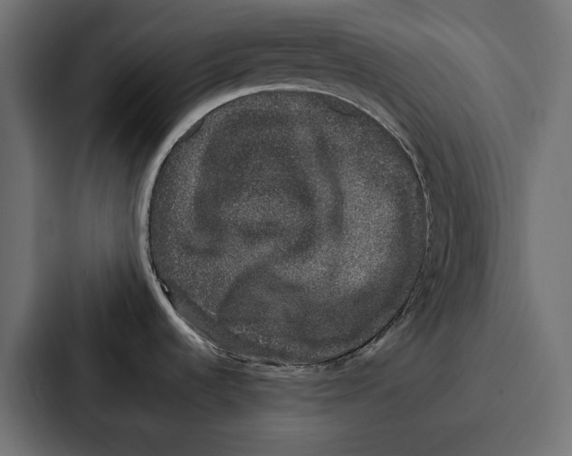 X0000086741536200705111625