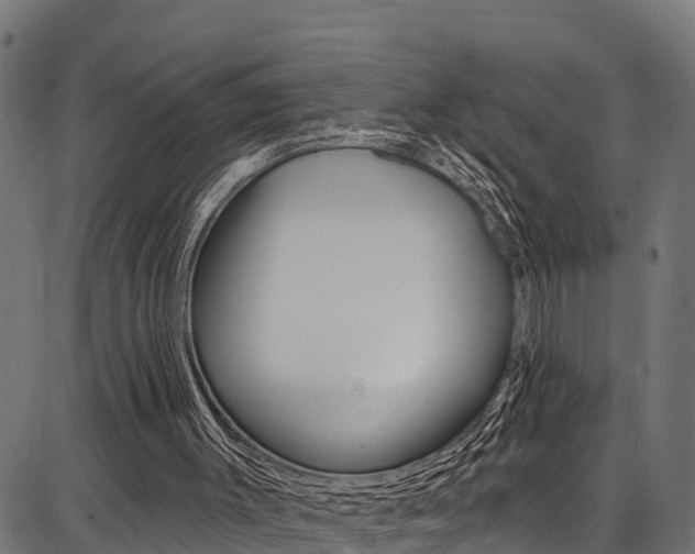 X0000086750003200704130810