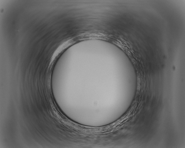 X0000086750004200704130810