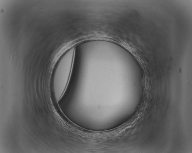 X0000086750007200704130810