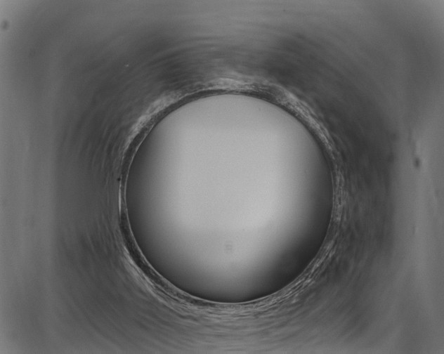 X0000086750011200704130810