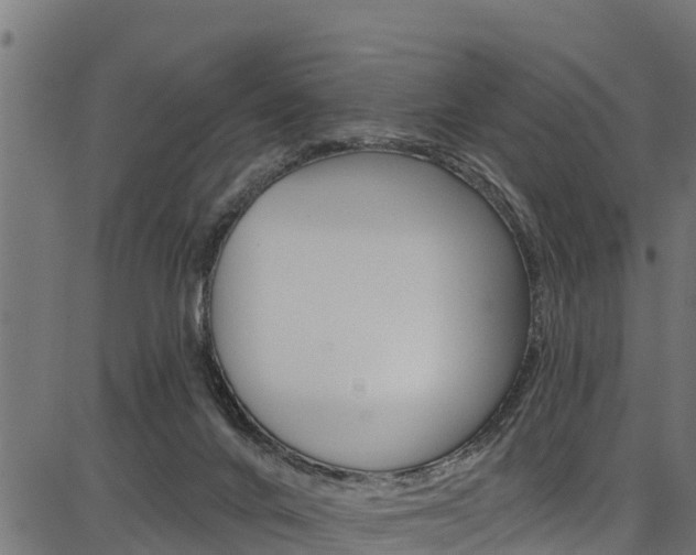 X0000086750024200704130810