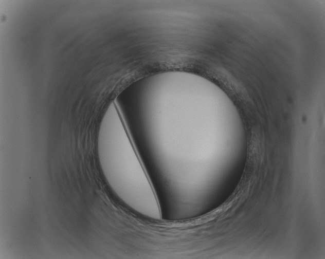 X0000086750025200704130810