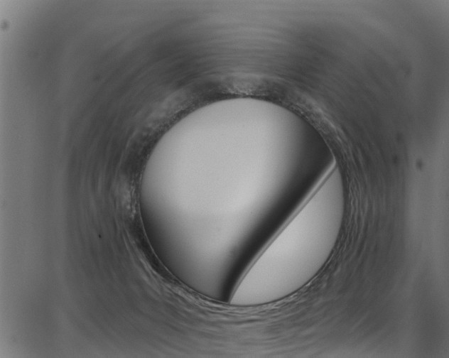X0000086750031200704130810