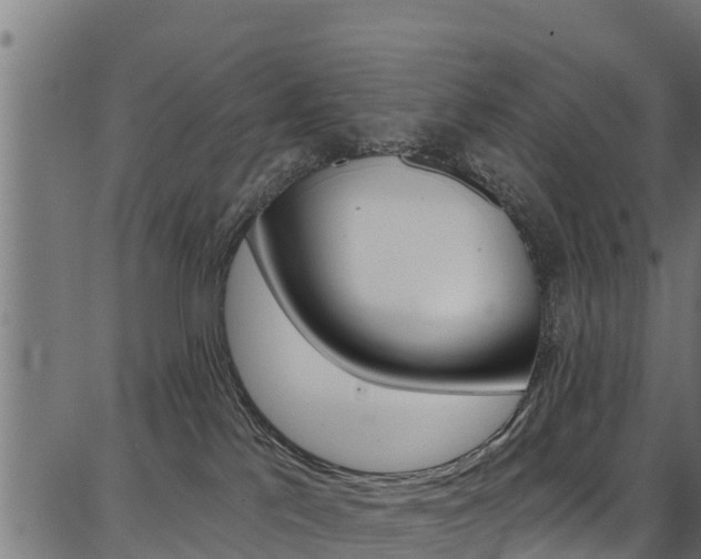 X0000086750041200704130809