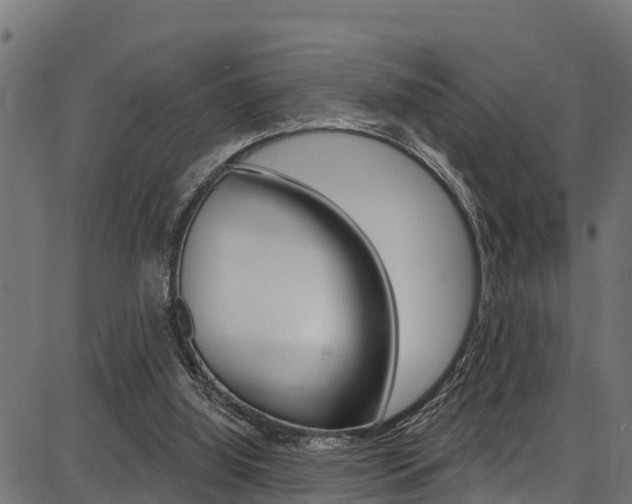 X0000086750060200704130809