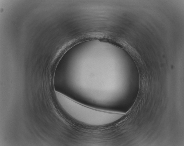 X0000086750064200704130809