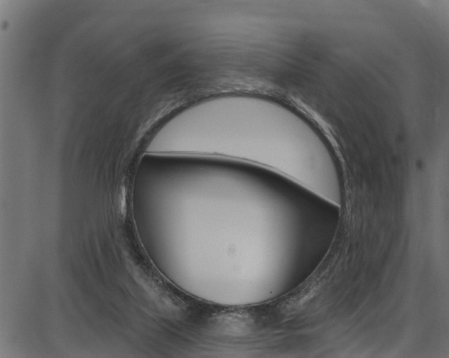 X0000086750067200704130809