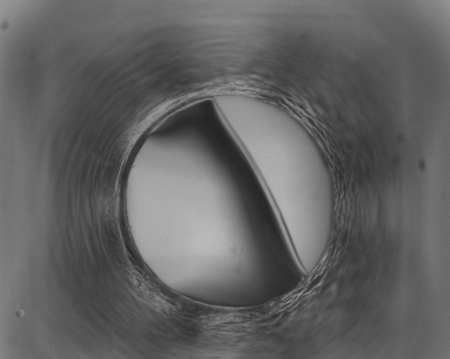 X0000086750100200704130808