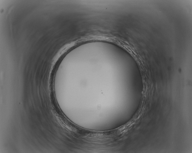 X0000086750104200704130808