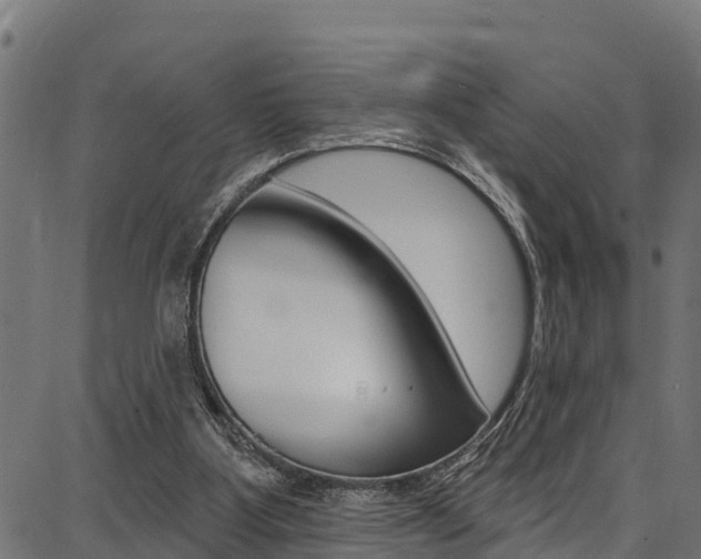X0000086750107200704130808