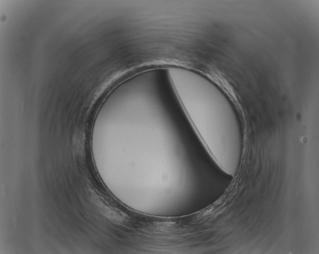X0000086750108200704130808