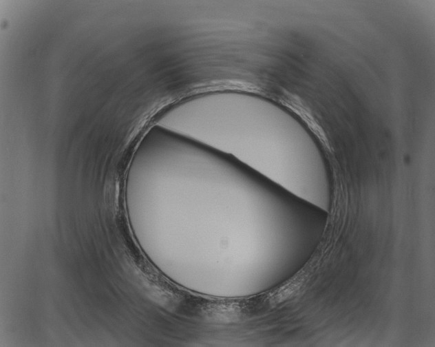 X0000086750110200704130808